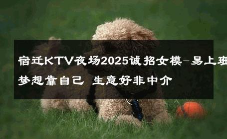 宿迁KTV夜场2025诚招女模-易上班梦想靠自己 生意好非中介
