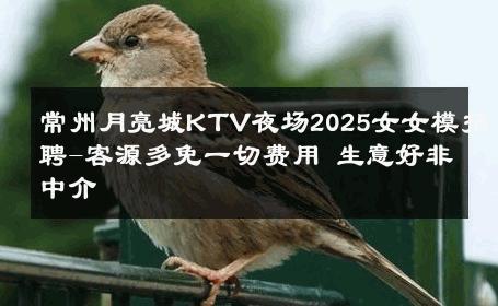 常州月亮城KTV夜场2025女女模招聘-客源多免一切费用 生意好非中介