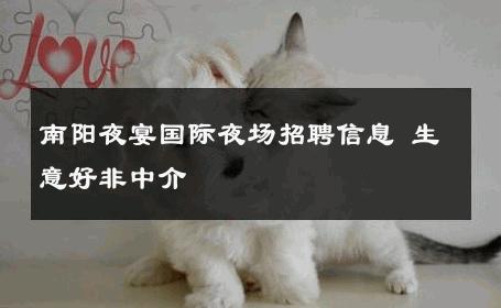 南阳夜宴国际夜场招聘信息 生意好非中介