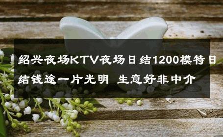 绍兴夜场KTV夜场日结1200模特日结钱途一片光明 生意好非中介