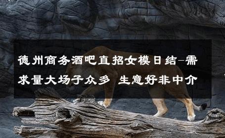 德州商务酒吧直招女模日结-需求量大场子众多 生意好非中介