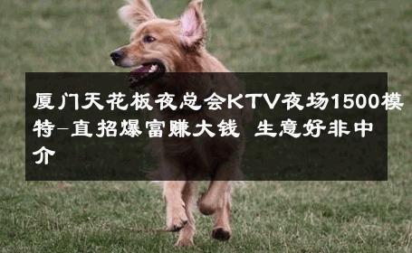 厦门天花板夜总会KTV夜场1500模特-直招爆富赚大钱 生意好非中介