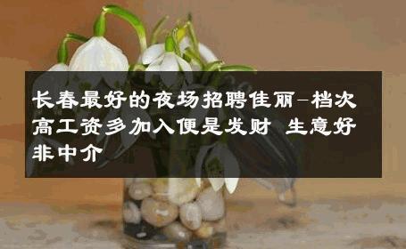 长春最好的夜场招聘佳丽-档次高工资多加入便是发财 生意好非中介