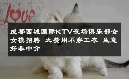 成都西城国际KTV夜场俱乐部女女模招聘-无费用不穿工衣 生意好非中介