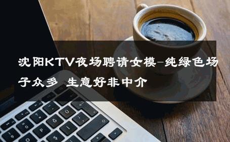 沈阳KTV夜场聘请女模-纯绿色场子众多 生意好非中介