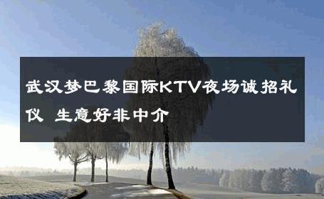 武汉梦巴黎国际KTV夜场诚招礼仪 生意好非中介