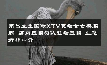南昌立生国际KTV夜场女女模招聘-店内直招领队驻场直招 生意好非中介