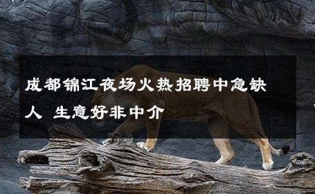 成都锦江夜场火热招聘中急缺人 生意好非中介