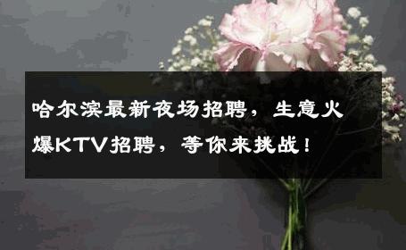 哈尔滨最新夜场招聘，生意火爆KTV招聘，等你来挑战！