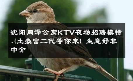 沈阳同泽公寓KTV夜场招聘模特.{土豪富二代等你来} 生意好非中介