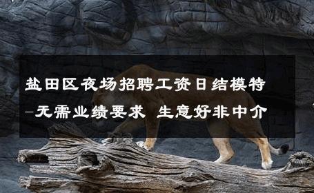 盐田区夜场招聘工资日结模特-无需业绩要求 生意好非中介