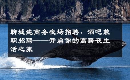 聊城纯商务夜场招聘，酒吧兼职招聘——开启你的高薪夜生活之旅