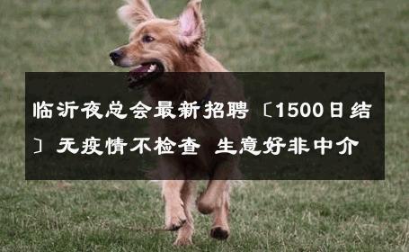 临沂夜总会最新招聘〔1500日结〕无疫情不检查 生意好非中介