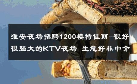 淮安夜场招聘1200模特佳丽-很好很强大的KTV夜场 生意好非中介