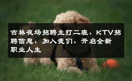 吉林夜场招聘主打二班，KTV招聘信息，加入我们，开启全新职业人生