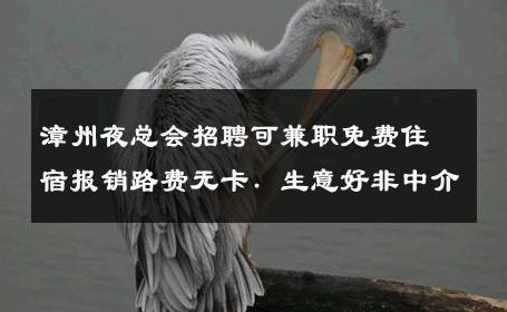 漳州夜总会招聘可兼职免费住宿报销路费无卡. 生意好非中介