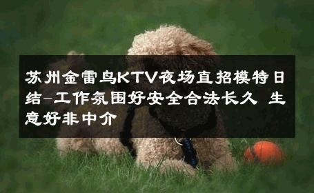 苏州金雷鸟KTV夜场直招模特日结-工作氛围好安全合法长久 生意好非中介