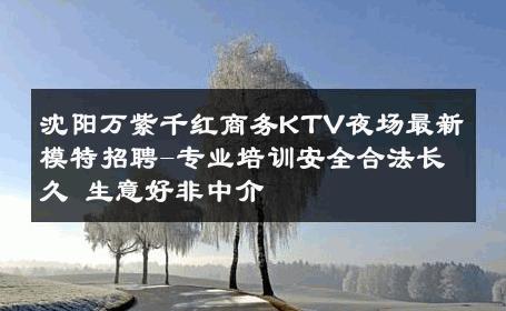 沈阳万紫千红商务KTV夜场最新模特招聘-专业培训安全合法长久 生意好非中介