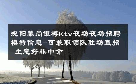 沈阳慕尚银樽ktv夜场夜场招聘模特信息-可兼职领队驻场直招 生意好非中介