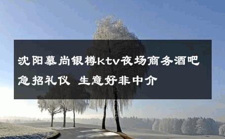沈阳慕尚银樽ktv夜场商务酒吧急招礼仪 生意好非中介