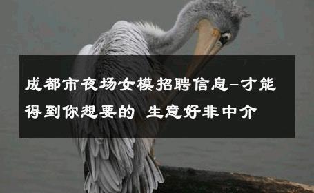 成都市夜场女模招聘信息-才能得到你想要的 生意好非中介