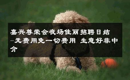 嘉兴尊荣会夜场佳丽招聘日结-无费用免一切费用 生意好非中介