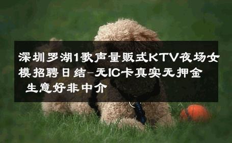 深圳罗湖1歌声量贩式KTV夜场女模招聘日结-无IC卡真实无押金 生意好非中介