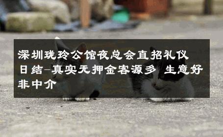 深圳珑玲公馆夜总会直招礼仪日结-真实无押金客源多 生意好非中介