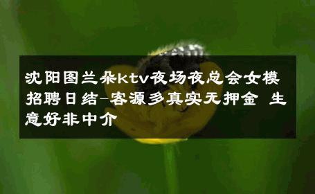 沈阳图兰朵ktv夜场夜总会女模招聘日结-客源多真实无押金 生意好非中介