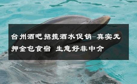 台州酒吧招揽酒水促销-真实无押金包食宿 生意好非中介