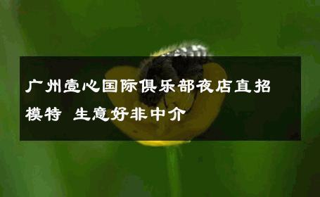 广州壹心国际俱乐部夜店直招模特 生意好非中介