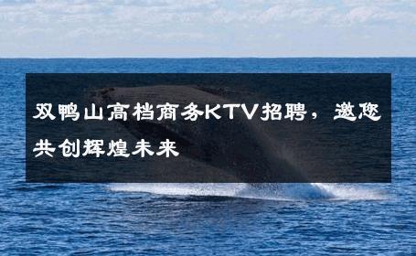双鸭山高档商务KTV招聘，邀您共创辉煌未来