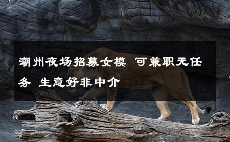 潮州夜场招募女模-可兼职无任务 生意好非中介