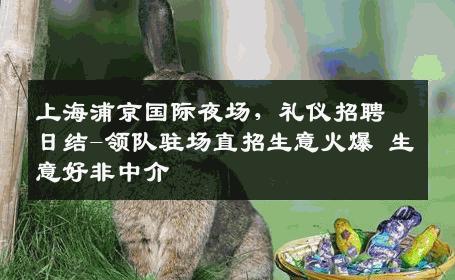 上海浦京国际夜场，礼仪招聘日结-领队驻场直招生意火爆 生意好非中介
