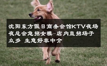 沈阳东方假日商务会馆KTV夜场夜总会急招女模-店内直招场子众多 生意好非中介