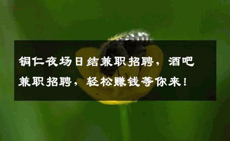 铜仁夜场日结兼职招聘，酒吧兼职招聘，轻松赚钱等你来！
