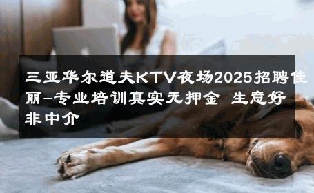 三亚华尔道夫KTV夜场2025招聘佳丽-专业培训真实无押金 生意好非中介