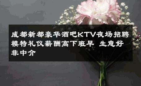 成都新都豪华酒吧KTV夜场招聘模特礼仪薪酬高下班早 生意好非中介