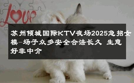 苏州倾城国际KTV夜场2025急招女模-场子众多安全合法长久 生意好非中介