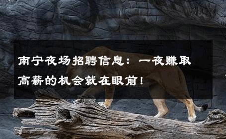 南宁夜场招聘信息：一夜赚取高薪的机会就在眼前！