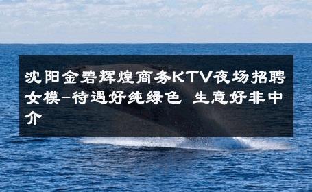 沈阳金碧辉煌商务KTV夜场招聘女模-待遇好纯绿色 生意好非中介
