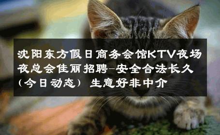沈阳东方假日商务会馆KTV夜场夜总会佳丽招聘-安全合法长久(今日动态) 生意好非中介