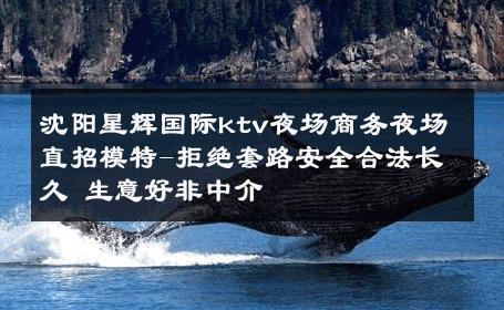 沈阳星辉国际ktv夜场商务夜场直招模特-拒绝套路安全合法长久 生意好非中介