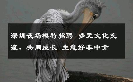 深圳夜场模特招聘-多元文化交流，共同成长 生意好非中介