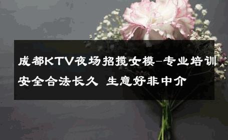 成都KTV夜场招揽女模-专业培训安全合法长久 生意好非中介