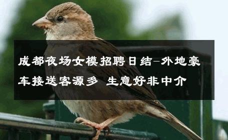 成都夜场女模招聘日结-外地豪车接送客源多 生意好非中介