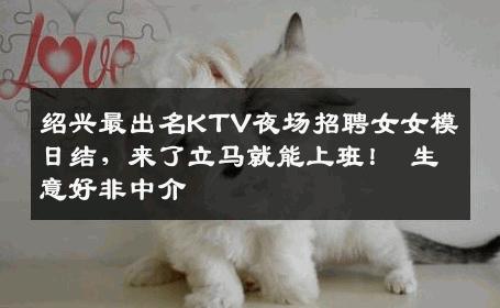 绍兴最出名KTV夜场招聘女女模日结，来了立马就能上班！ 生意好非中介