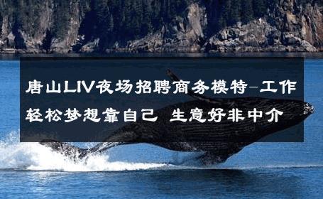 唐山LIV夜场招聘商务模特-工作轻松梦想靠自己 生意好非中介