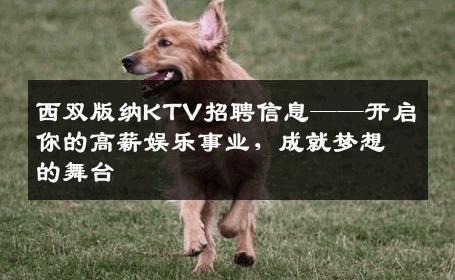 西双版纳KTV招聘信息——开启你的高薪娱乐事业，成就梦想的舞台