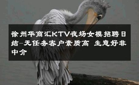 徐州华商汇KTV夜场女模招聘日结-无任务客户素质高 生意好非中介